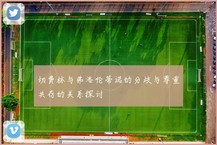 切费林与弗洛伦蒂诺的分歧与尊重共存的关系探讨