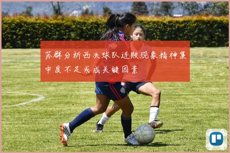 苏群分析西决球队连败现象精神集中度不足或成关键因素