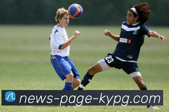 开元棋牌平台生态图